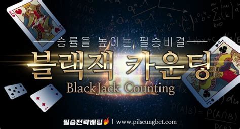 블랙잭 카운팅 프로그램|[완벽해설]블랙잭 카운팅으로 승률을 높이고 게임의 .